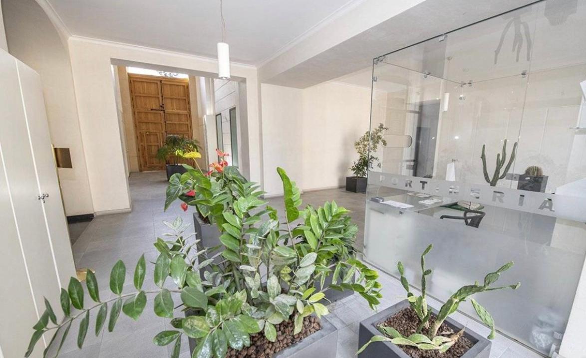 Apartment Gran Cancelliere With Parking Palermo