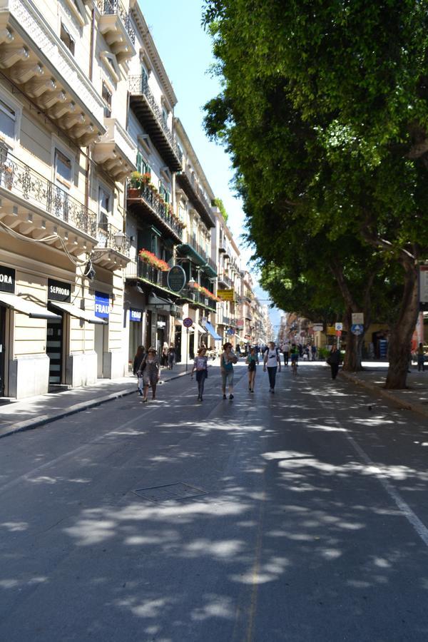 Apartment Gran Cancelliere With Parking *